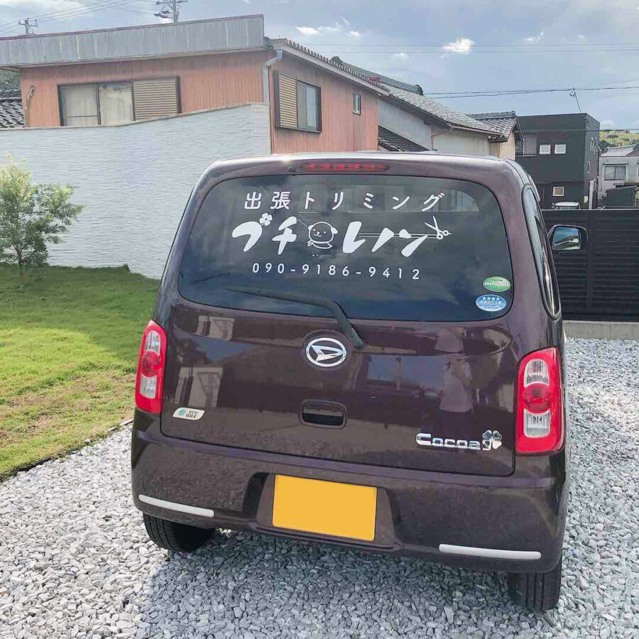 car